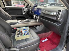 Haval Big Dog 1.5T DCT Border Collie Edition - фото 8