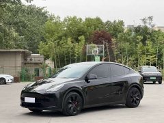 Tesla Model Y rear-wheel drive version - фото 1