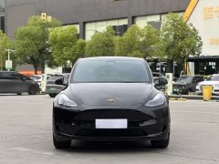 Tesla Model Y rear-wheel drive version - фото 2