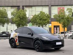 Tesla Model Y rear-wheel drive version - фото 3