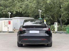 Tesla Model Y rear-wheel drive version - фото 8