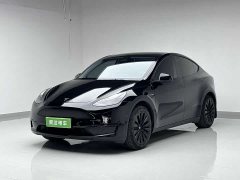 Tesla Model Y rear-wheel drive version - фото 1