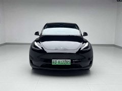 Tesla Model Y rear-wheel drive version - фото 2