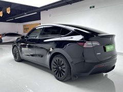 Tesla Model Y rear-wheel drive version - фото 8
