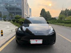 Tesla Model Y rear-wheel drive version - фото 2