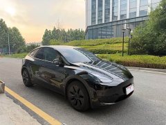 Tesla Model Y rear-wheel drive version - фото 3