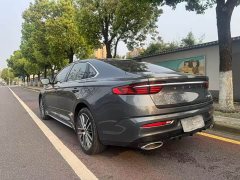 Lexus Xingrui 2.0TD luxury - фото 7