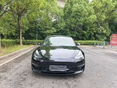 Tesla Model 3 Performance high-performance all-wheel drive version 3D6 - фото 2