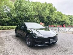 Tesla Model 3 Performance high-performance all-wheel drive version 3D6 - фото 3