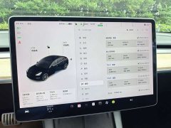 Tesla Model 3 Performance high-performance all-wheel drive version 3D6 - фото 8