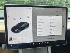 Tesla Model 3 Performance high-performance all-wheel drive version 3D6 - фото 9