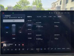 Li Auto Ideal MEGA 2025 Home Family Special Edition - фото 10