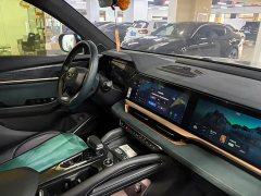 Geely Xingyue L 2021 2.0TD DCT EVO two-wheel drive premium - фото 4