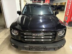 Haval Big Dog 1.5T DCT two-wheel drive Border Collie version - фото 2
