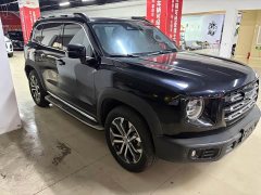 Haval Big Dog 1.5T DCT two-wheel drive Border Collie version - фото 3