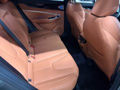 Geely Boyue 2024 1.5TD Dragon Edition - фото 5