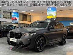 BMW X3 M 2022 X3 M Thunder Edition - фото 1