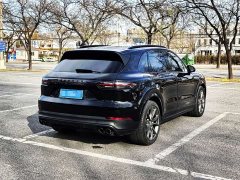 Porsche Cayenne 3.0T Platinum Edition - фото 19