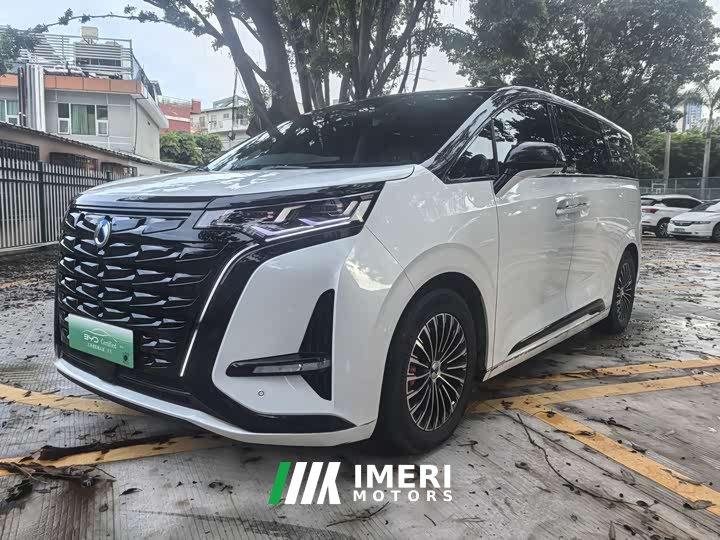 Denza D9 2022 DM-i 970 four-wheel drive premium - автомобиль из Китая