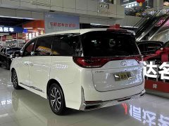 Trumpchi M8 Lead Show Series 390T Exclusive Edition - фото 15