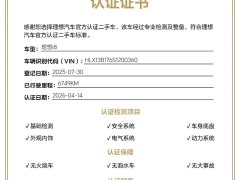 Li Auto Ideal i8 Standard Edition - фото 2