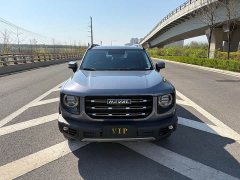 Havaldog 2022 1.5T DCT two-wheel drive Labrador version - фото 2