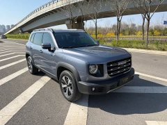 Havaldog 2022 1.5T DCT two-wheel drive Labrador version - фото 3