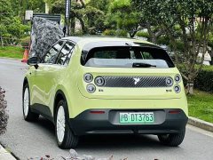 Lynk & Co firefly free version - фото 4