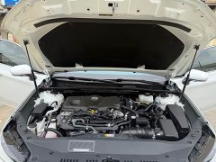 BYD Asia Dragon Shuangqing 2.5L XLE Premium Edition - фото 13