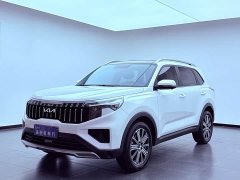 Lynk & Co Zhipao 2021 Ace 2.0L Wonderful Edition - фото 3