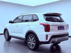 Lynk & Co Zhipao 2021 Ace 2.0L Wonderful Edition - фото 4