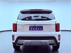 Lynk & Co Zhipao 2021 Ace 2.0L Wonderful Edition - фото 5