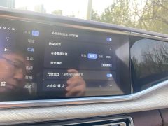 Hongqi H9 2020 3.0T Zhilian Qichang Edition - фото 17