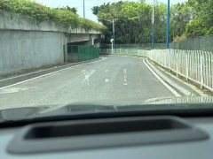 Li Auto Ideal L6 Pro - фото 19