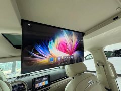 VOYAH Dream PHEV 4WD Flagship Qiankun Edition - фото 15