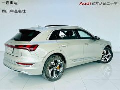 Audi e-tron 2021 50 quattro premium - фото 3