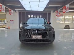 Lynk & Co Voyager 2023 2.0T four-wheel drive Zunrui hybrid version - фото 2
