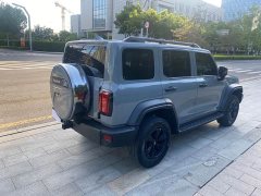 Tank 300 Off-Road Version 2.0T Conqueror - фото 14