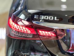 Mercedes-Benz E-Class E 300 L Luxury - фото 17