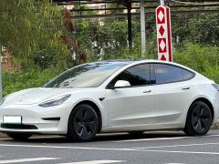 Tesla Model 3 Standard Range Rear Drive Upgraded Version - фото 1