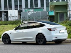 Tesla Model 3 Standard Range Rear Drive Upgraded Version - фото 3