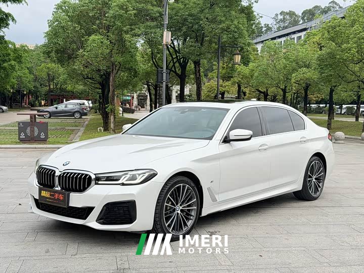BMW 5 Series 530Li Leading M Sports Package - автомобиль из Китая