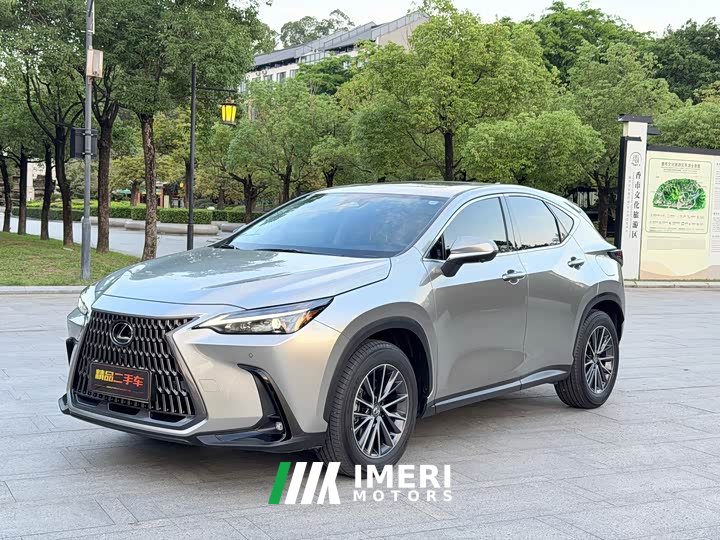 Lexus NX 260 front-wheel drive special edition - автомобиль из Китая