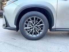 Lexus NX 260 front-wheel drive special edition - фото 19