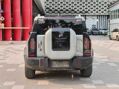 Jetour Traveler C-DM 2024 C-DM 129KM Forest Edition - фото 5