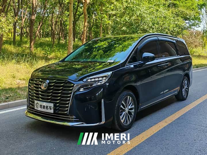 Buick GL8 ES Lu Zun Exclusive