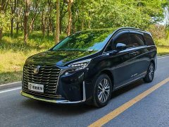 Buick GL8 ES Lu Zun Exclusive - фото 1