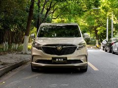 Buick GL8 ES Lu Zun 653T flagship - фото 2