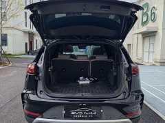 Lexus Tangxin Energy 2025 DM-i 115KM flagship - фото 11