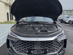 Lexus Tangxin Energy 2025 DM-i 115KM flagship - фото 2